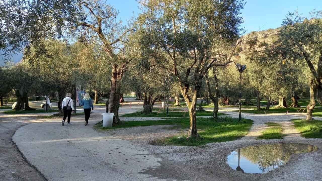 Bed and Breakfast Casa Nataly Torbole Sul Garda Zewnętrze zdjęcie